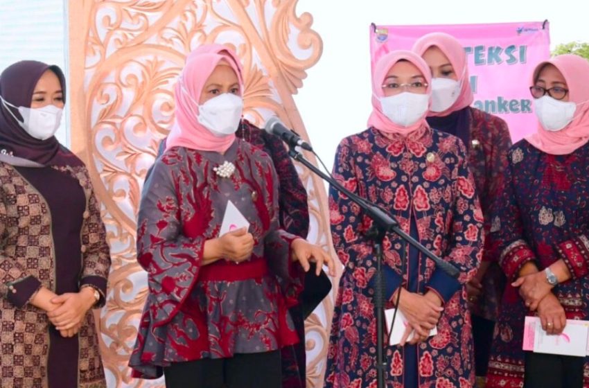  Ibu Iriana Ajak PKK Jambi Sosialisasikan SADARI Kepada Masyarakat