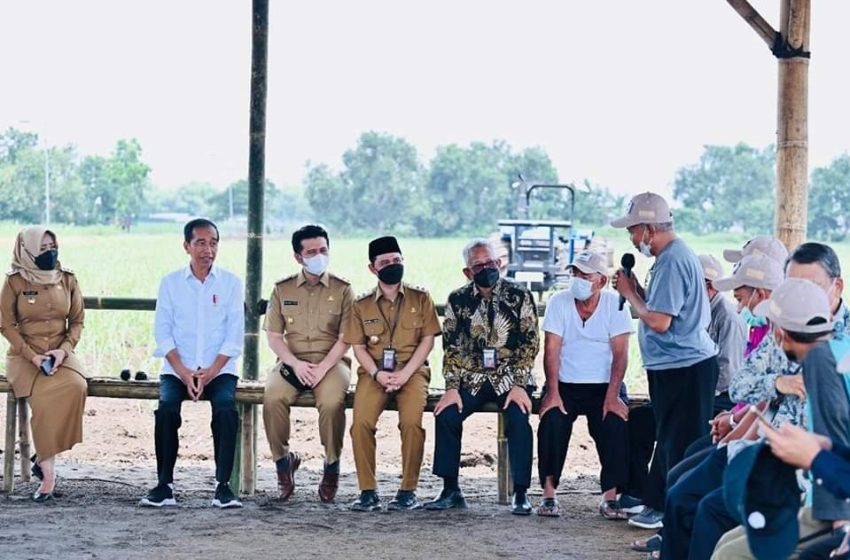  Presiden Jokowi Kunjungi Pabrik Bioetanol, Tingkatkan Produksi Tebu Swasembada Gula