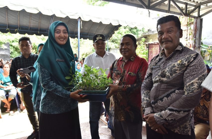  Tingkatkan Ketahanan Pangan, Pemkab Batu Bara Serahkan Bantuan Benih Sayuran