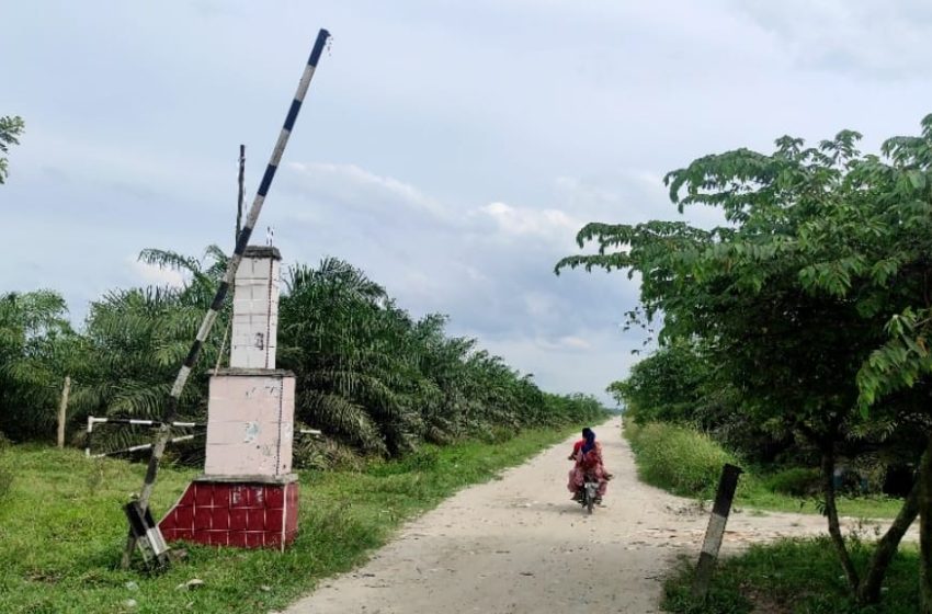  Diduga Jalan Akses PT PP Lonsum Sei Bejangkar Kabupaten Batu Bara Divisi Tiga Jadi Ajang Pungli