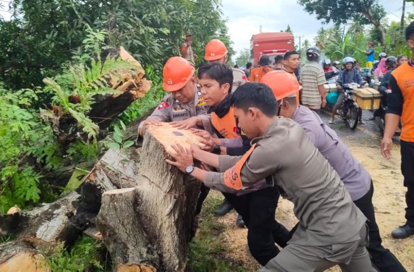  Tim SAR Brimob Bone Bersihkan Pohon Tumbang Bahayakan Warga