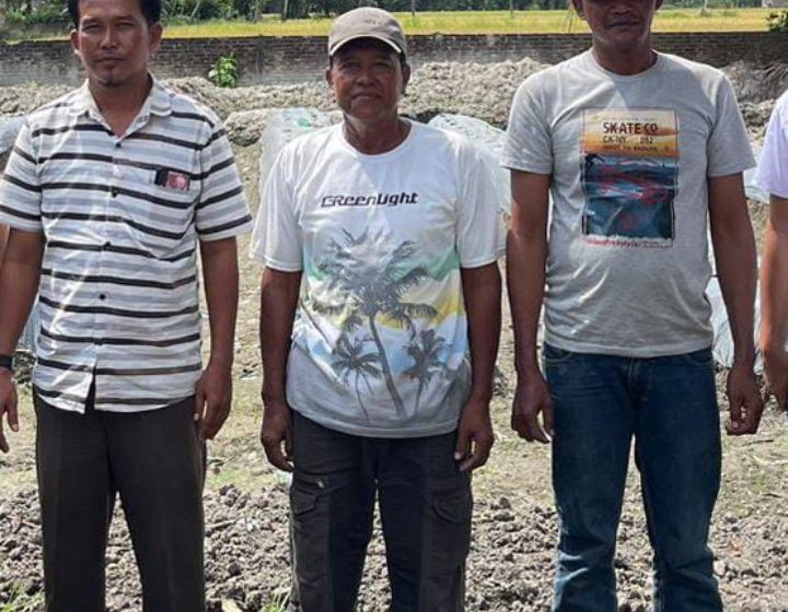  Pupuk Organik Bantu Ekonomi dan Tingkatkan Hasil Produksi Petani