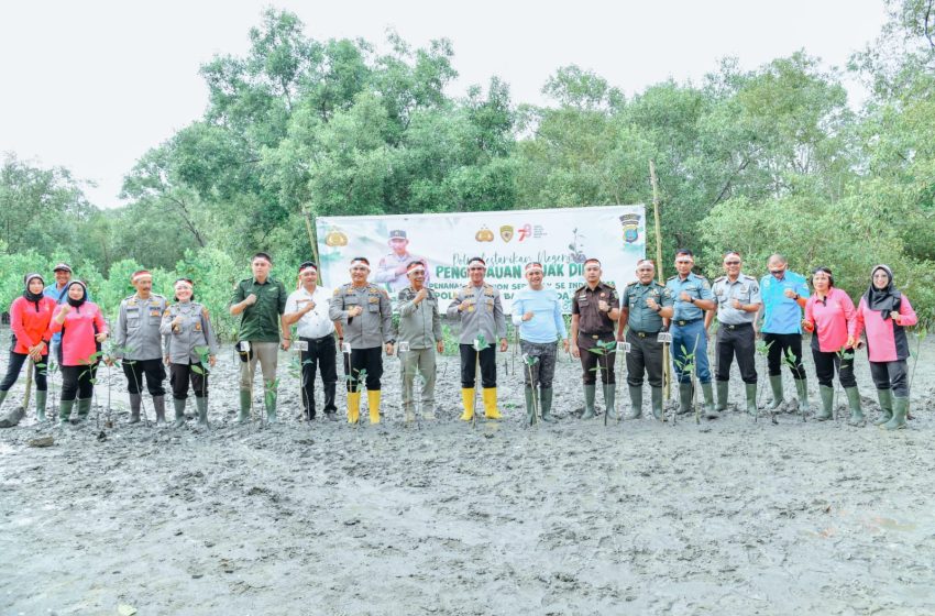  Bupati Zahir Ikut Tanam Seribu Bibit Mangrove di Pantai Sejarah