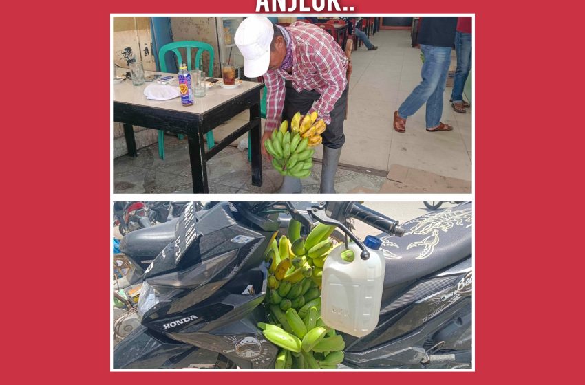  Harga Pisang di Batu Bara Anjlok, Petani Pisang Harap Pemerintah Tanggap Solusi!