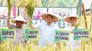  Pj. Bupati Langkat Faisal Hasrimy Hadiri Panen Raya di Sergai: Kolaborasi Wujudkan Ketahanan Pangan Sumut