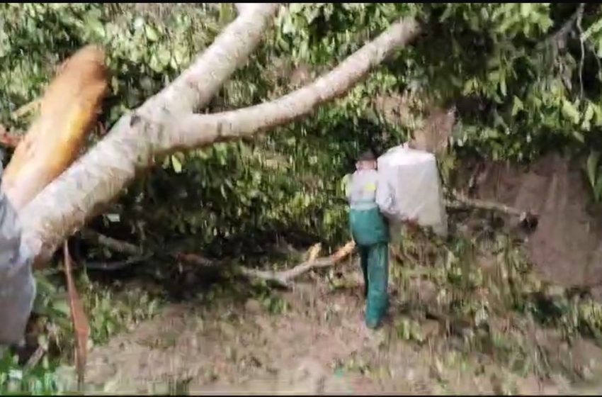  Medan Berat dan Longsor Tak Surutkan Semangat, Kotak Suara Pemilu Tiba dengan Aman di Sibolangit