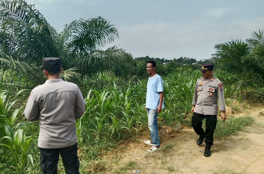  Sat Binmas Polres Batu Bara ,Giat Pengecekan Program Ketahanan Pangan dan Pemanfaatan Lahan