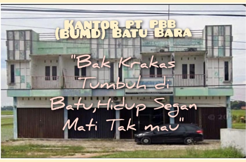  BUMD PT PBB Batu Bara Bagai Krakas Tumbuh di Batu, Aset Milyaran Dipertanyakan? 