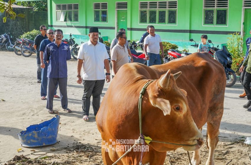  Bupati Batu Bara Serahkan Hewan Qurban dari Presiden RI