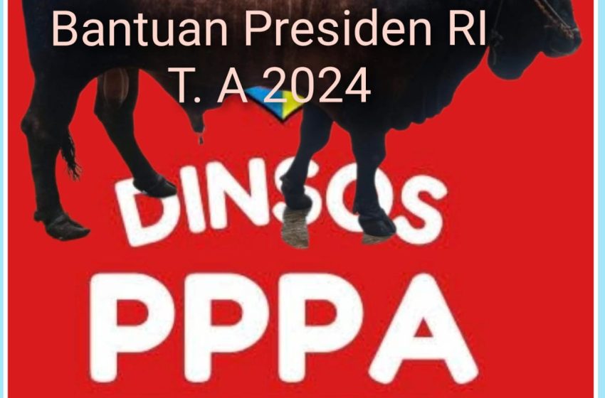 Donatur Serahkan Bantuan 40 ekor Sapi T. A 2024, Dinsos PPPA Batu Bara Malah Beli Sapi 632 Juta?