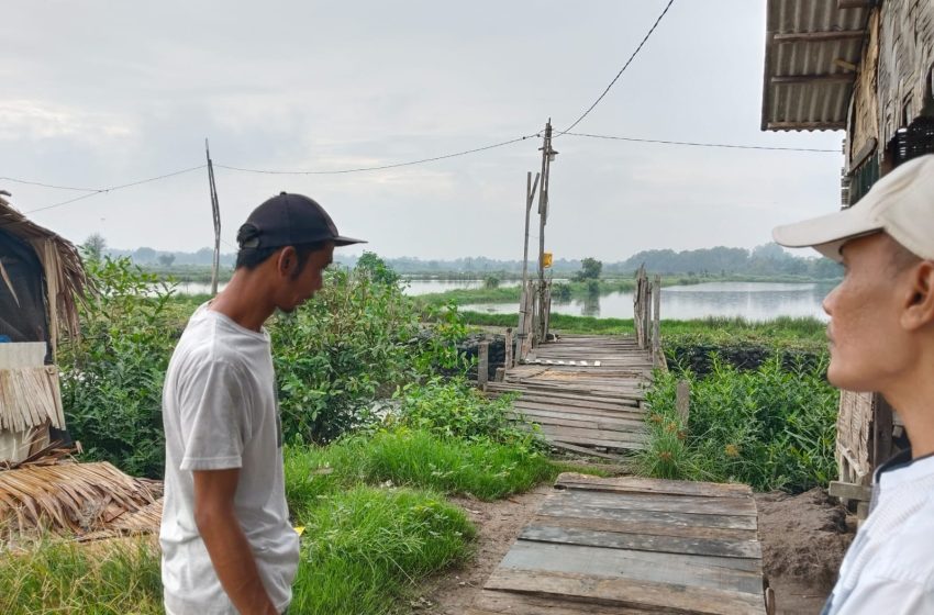  Pangkas Waktu Angkut, Petambak Nila Sebut Jalan Baru TMMD 126 Kodim 0201 Medan di Pasar Nippon Tingkatkan Produktivitas ​