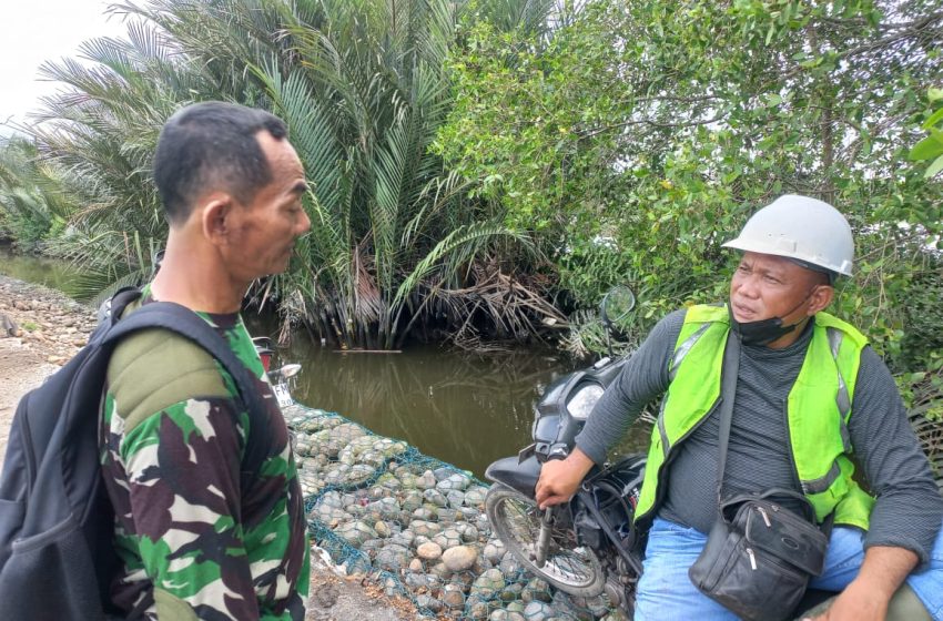 TNI dan Rakyat Bersatu Wujudkan Jalan Layak di Paya Pasir