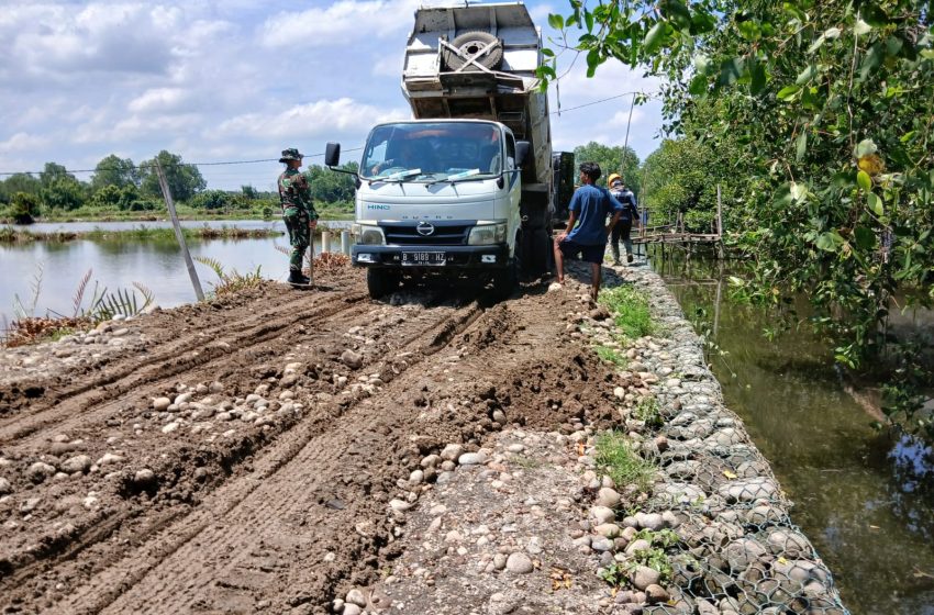  TMMD 126 Kodim 0201 Medan Angkut Material untuk Perkuat Jalan Tanggul Pasar Nippon