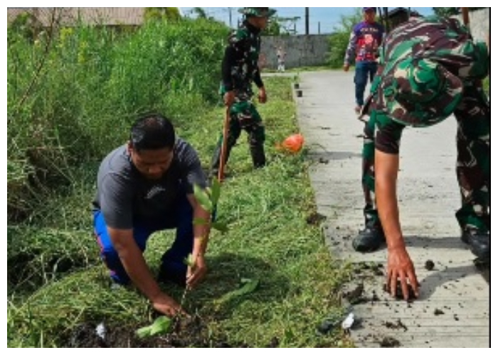  TNI Tanam Pohon Keras, Wujudkan Penghijauan di Paya Pasir