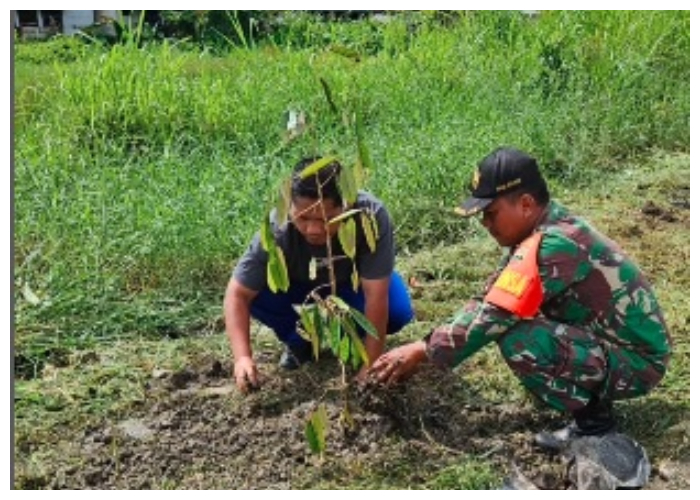  Sinergi TNI dan Warga Wujudkan Lingkungan Hijau di Medan Marelan