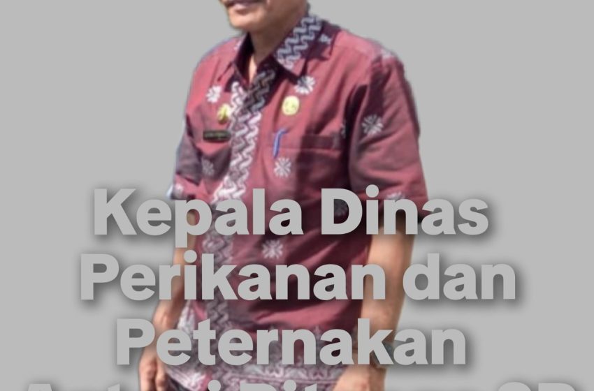  Pembangunan Kandang Itik 197 Juta Dinas Perikanan Diduga Duplikasi Program Dinas Pertanian,”Gak Bahaya Tah”!?