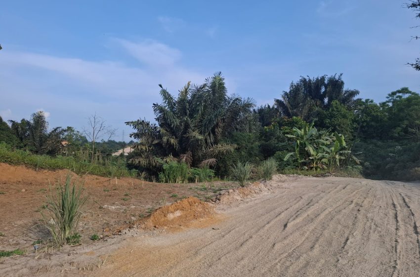  Polresta Deli Serdang Diduga Biarkan Aktivitas Pengerukan Tanah Bukit Ilegal  