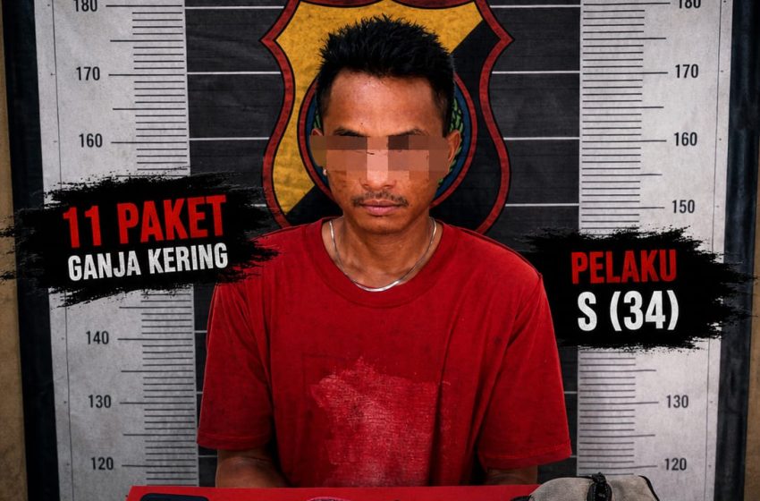  Pria di Batu Bara Ditangkap, 11 Paket Ganja Disita Polisi