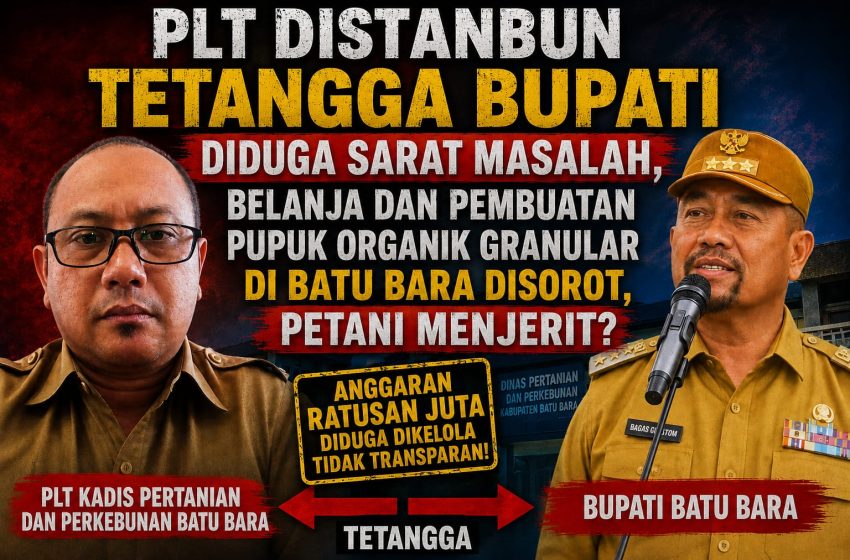  Mentan RI Ditantang: Plt Distanbun Tetangga Bupati Diduga Sarat Masalah, Belanja Pupuk Organik Granular di Batu Bara Disorot