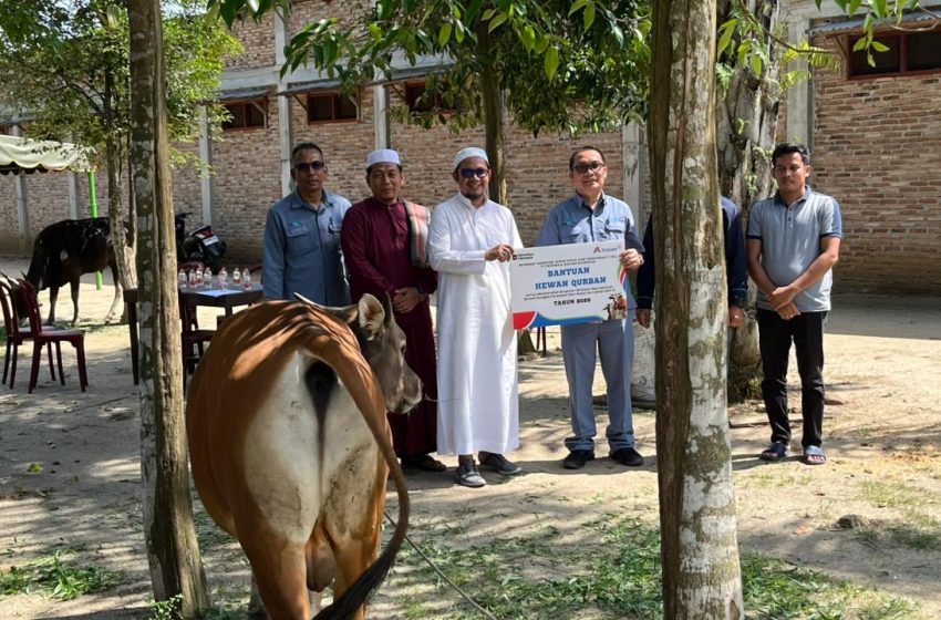  Sambut Idul Adha 1447 H, INALUM Salurkan 107 Hewan Kurban di Sumatera Utara