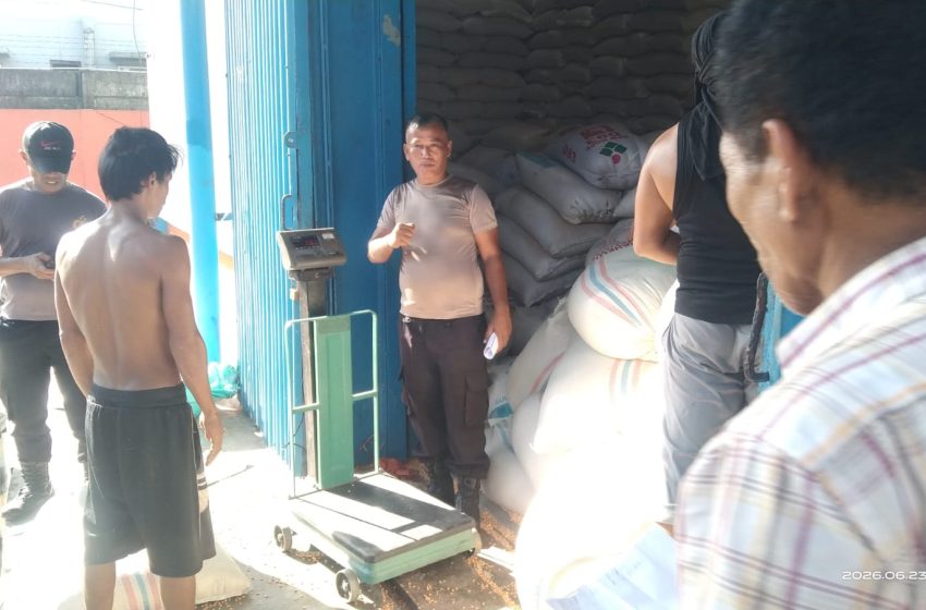  Polres Batu Bara Konsisten Dukung Program Ketahanan Pangan, Distribusi Jagung Ke Bulog Asahan Capai 274,182 Ton