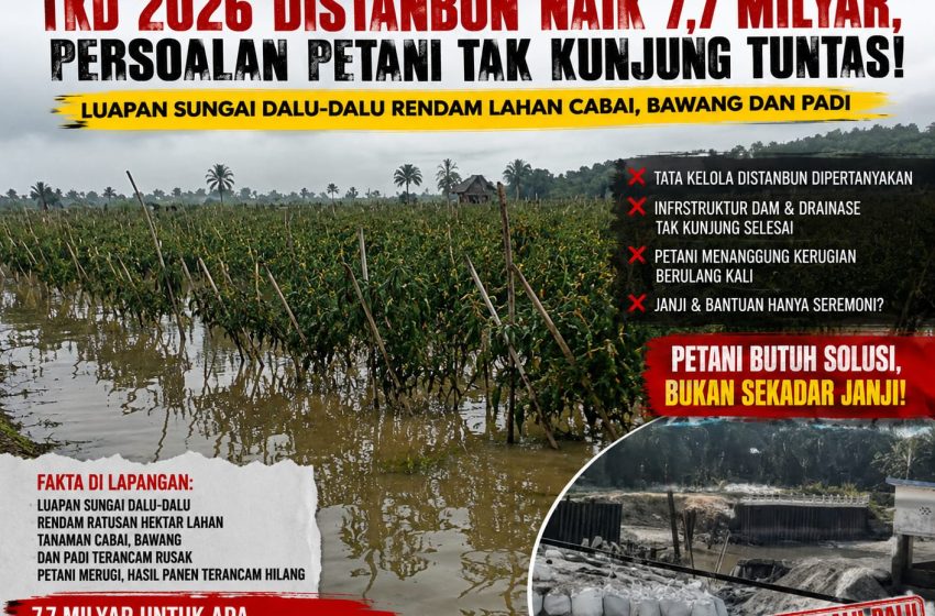  Rp7,7 Miliar Penambahan TKD 2026 Distanbun Disorot, Petani Cabai Lubuk Cuik Kembali Terancam Gagal Panen