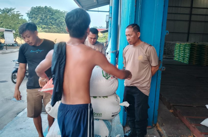  Polres Batu Bara Kembali Salurkan Hasil Panen Jagung ke Bulog Asahan