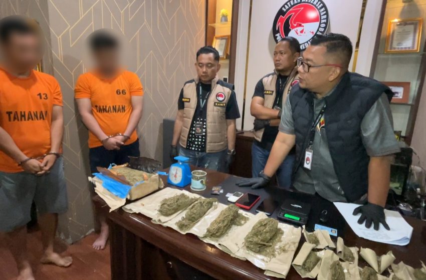  Rumah Kos Kawasan Medan Petisah Jadi Tempat Transit Narkoba, Polisi Ringkus Dua Pengedar Sabu dan PG