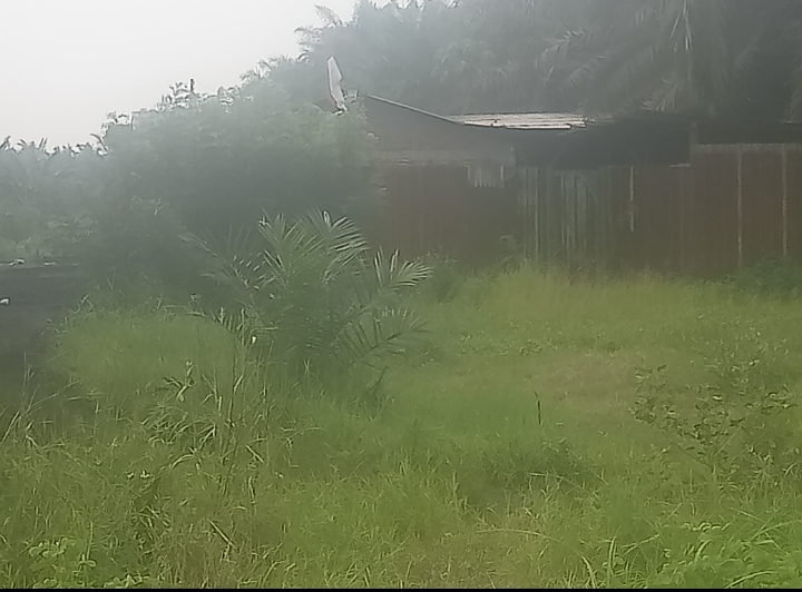 Gudang Pengolahan Oil Bekas Diduga Tanpa Izin Bebas Beroperasi di Wilkum Polres Belawan