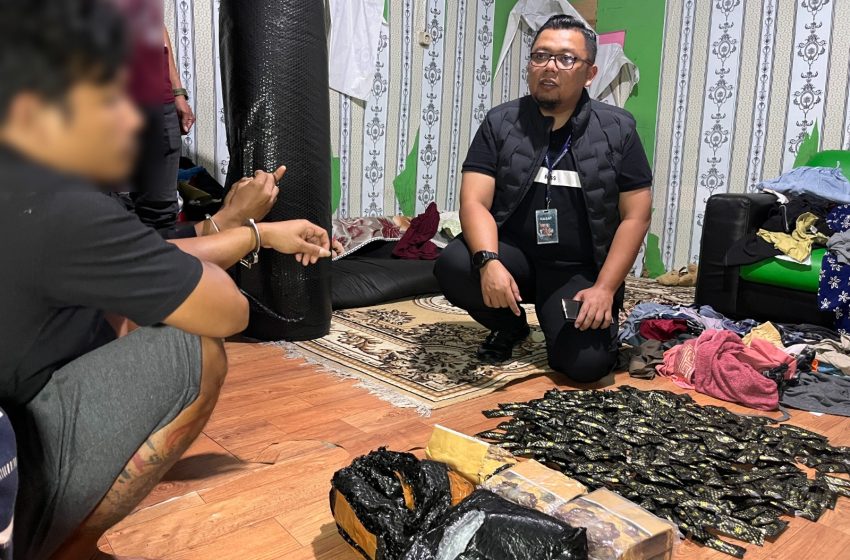  Polisi Gerebek Gudang Pengolahan Pinang Disulap Jadi Gudang Narkoba di Sei Mencirim Sunggal  
