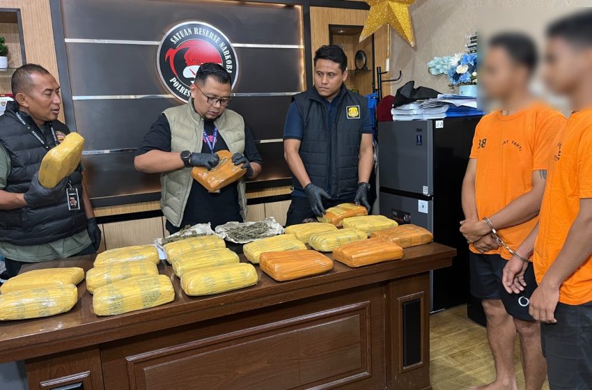  Polisi Gerebek Gudang Penyimpanan Narkoba di Kandang Ayam, 18 Kilogram Ganja Diamankan 
